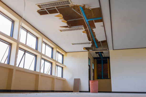 Best Flooded house restoration  in East Peoria, IL