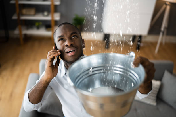 Best 24/7 water damage repair  in East Peoria, IL