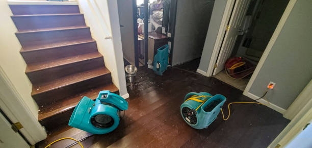 Best Flood damage cleanup  in East Peoria, IL