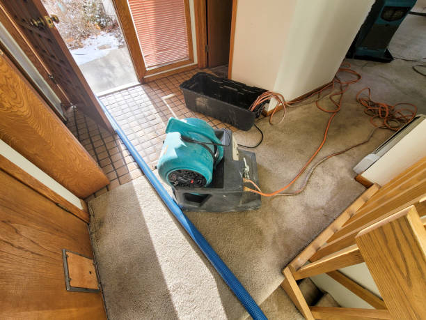 Best Basement water damage restoration  in East Peoria, IL