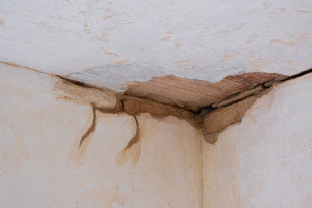 Best Water damage restoration near me  in East Peoria, IL