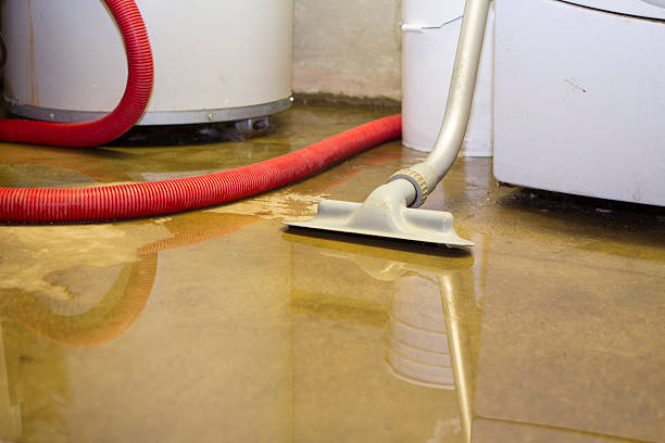 Best Fire Damage Restoration  in East Peoria, IL