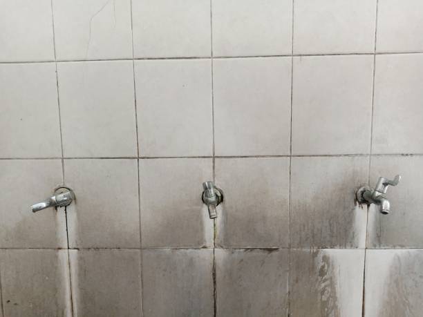 Best Local water damage restoration  in East Peoria, IL