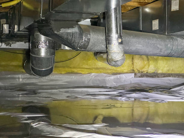 Best Professional water damage repair  in East Peoria, IL