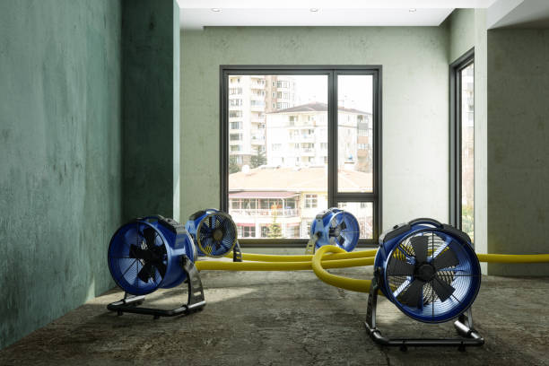 Best Water damage contractors near me  in East Peoria, IL