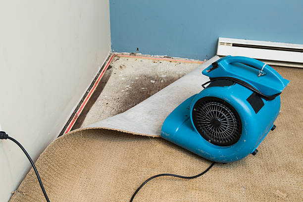 Best Commercial water damage restoration  in East Peoria, IL